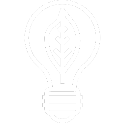 Bulb