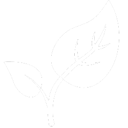 Environment